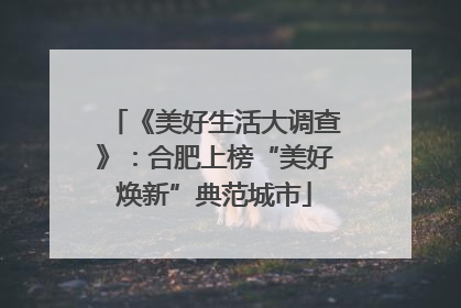《美好生活大调查》：合肥上榜“美好焕新”典范城市