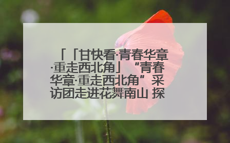 「甘快看·青春华章·重走西北角」“青春华章·重走西北角”采访团走进花舞南山 探寻天水乡村振兴之路