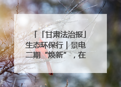 「甘肃法治报」生态环保行｜景电二期“焕新”，在荒漠上筑起一道绿色长城
