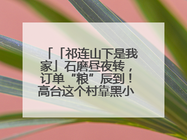「祁连山下是我家」石磨昼夜转，订单“粮”辰到！高台这个村靠黑小麦面粉拿下成立来最大订单