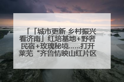 「城市更新 乡村振兴看济南」红培基地+野奢民宿+玫瑰秘境……打开莱芜“齐鲁情映山红片区”的破圈秘籍