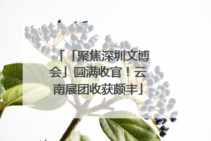 「聚焦深圳文博会」圆满收官！云南展团收获颇丰