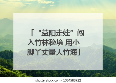 “益阳走娃”闯入竹林秘境 用小脚丫丈量大竹海