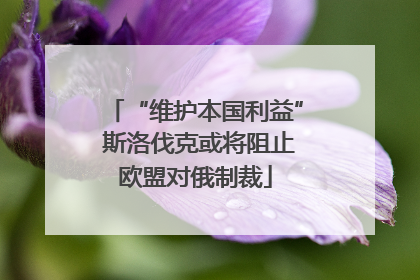 “维护本国利益” 斯洛伐克或将阻止欧盟对俄制裁