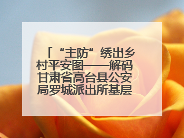 “主防”绣出乡村平安图——解码甘肃省高台县公安局罗城派出所基层治理新实践