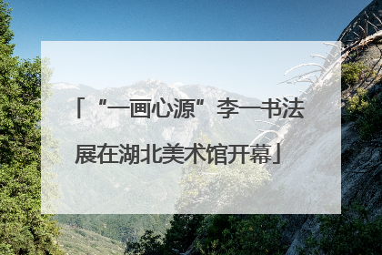 “一画心源”李一书法展在湖北美术馆开幕