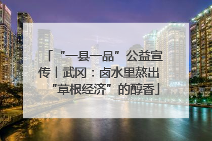“一县一品”公益宣传丨武冈：卤水里熬出“草根经济”的醇香