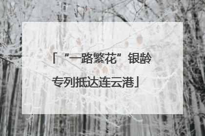 “一路繁花”银龄专列抵达连云港