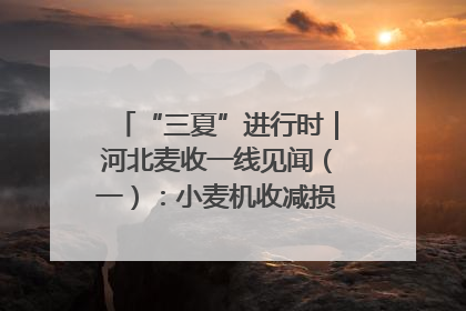 “三夏”进行时｜河北麦收一线见闻（一）：小麦机收减损“竞技” 农机高手麦田“过招”