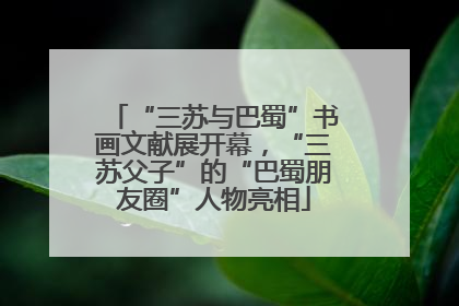 “三苏与巴蜀”书画文献展开幕，“三苏父子”的“巴蜀朋友圈”人物亮相