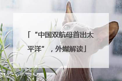 “中国双航母首出太平洋”，外媒解读
