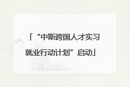 “中斯跨国人才实习就业行动计划”启动