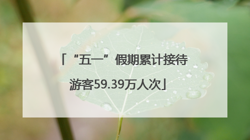 “五一”假期累计接待游客59.39万人次
