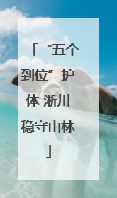 “五个到位”护体 淅川稳守山林