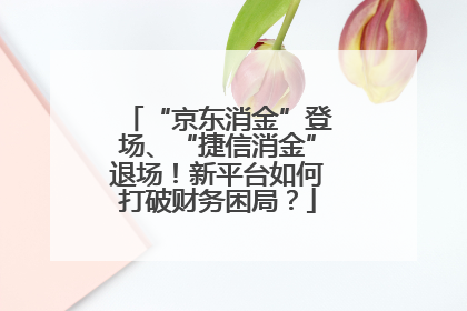 “京东消金”登场、“捷信消金”退场！新平台如何打破财务困局？