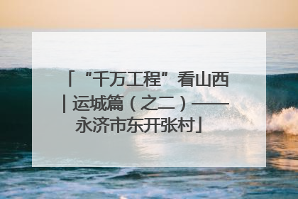 “千万工程”看山西｜运城篇（之二）——永济市东开张村