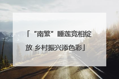 “南繁”睡莲竞相绽放 乡村振兴添色彩