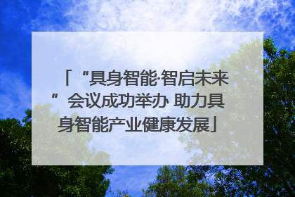 “具身智能·智启未来”会议成功举办 助力具身智能产业健康发展