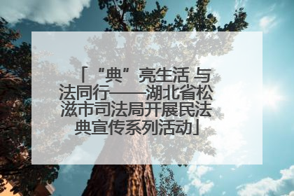 “典”亮生活 与法同行——湖北省松滋市司法局开展民法典宣传系列活动