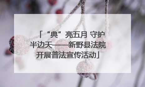 “典”亮五月 守护半边天——新野县法院开展普法宣传活动