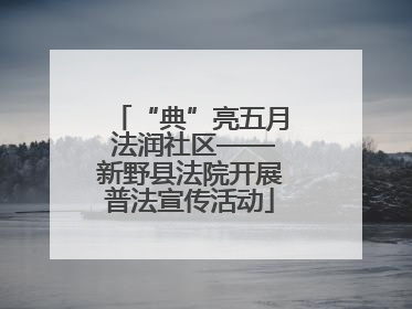 “典”亮五月 法润社区——新野县法院开展普法宣传活动