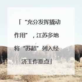 “充分发挥撬动作用”，江苏多地将“苏超”列入经济工作重点