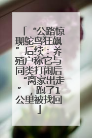 “公路惊现鸵鸟狂飙”后续：养殖户称它与同类打闹后“离家出走”，跑了1公里被找回
