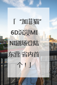 “加菲猫”6D沉浸MINI剧场登陆东营 省内首个！