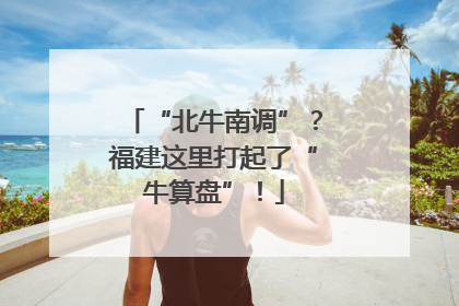“北牛南调”？福建这里打起了“牛算盘”！