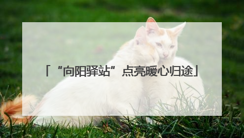 “向阳驿站”点亮暖心归途