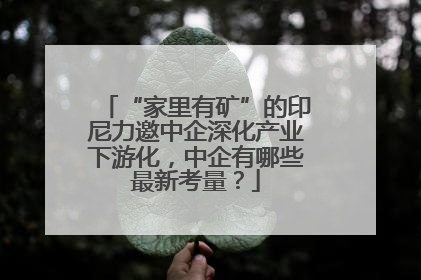 “家里有矿”的印尼力邀中企深化产业下游化，中企有哪些最新考量？