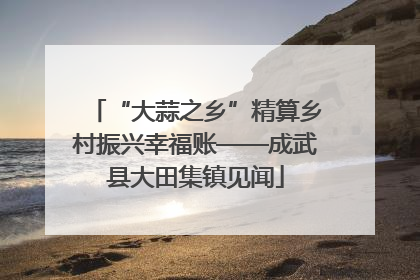 “大蒜之乡”精算乡村振兴幸福账——成武县大田集镇见闻