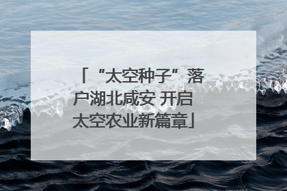 “太空种子”落户湖北咸安 开启太空农业新篇章