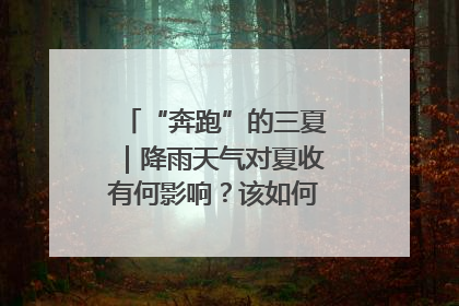 “奔跑”的三夏｜降雨天气对夏收有何影响？该如何防范？一文了解