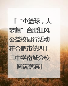 “小篮球，大梦想”合肥狂风公益校园行活动在合肥市第四十二中学南城分校圆满落幕