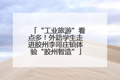 “工业旅游”看点多！外籍学生走进胶州李哥庄镇体验“胶州智造”