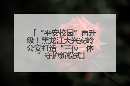 “平安校园”再升级！黑龙江大兴安岭公安打造“三位一体”守护新模式