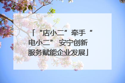 “店小二”牵手“电小二” 安宁创新服务赋能企业发展
