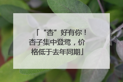 “杏”好有你！杏子集中登鹭，价格低于去年同期