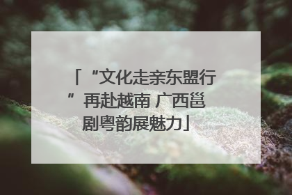 “文化走亲东盟行”再赴越南 广西邕剧粤韵展魅力