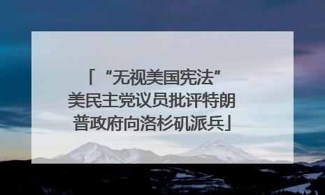 “无视美国宪法” 美民主党议员批评特朗普政府向洛杉矶派兵