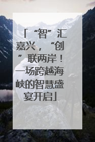 “智”汇嘉兴，“创”联两岸！一场跨越海峡的智慧盛宴开启