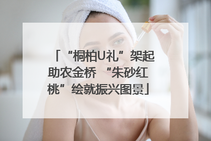 “桐柏U礼”架起助农金桥 “朱砂红桃”绘就振兴图景
