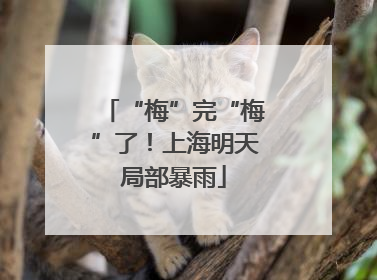 “梅”完“梅”了！上海明天局部暴雨