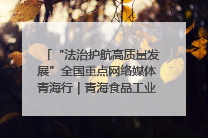 “法治护航高质量发展”全国重点网络媒体青海行｜青海食品工业协会：架起“青字号”美食的产业化桥梁