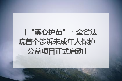 “溪心护苗”：全省法院首个涉诉未成年人保护公益项目正式启动