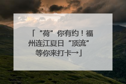“荷”你有约！福州连江夏日“顶流”等你来打卡→