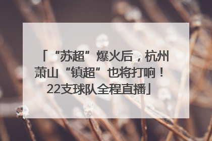 “苏超”爆火后，杭州萧山“镇超”也将打响！22支球队全程直播