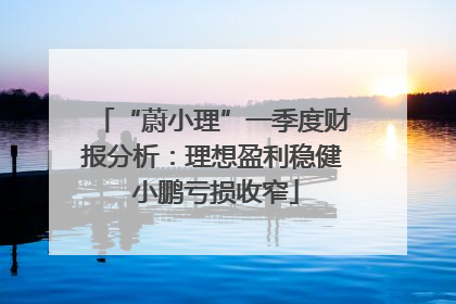 “蔚小理”一季度财报分析：理想盈利稳健 小鹏亏损收窄