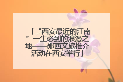 “西安最近的江南”一生必到的浪漫之地——郧西文旅推介活动在西安举行